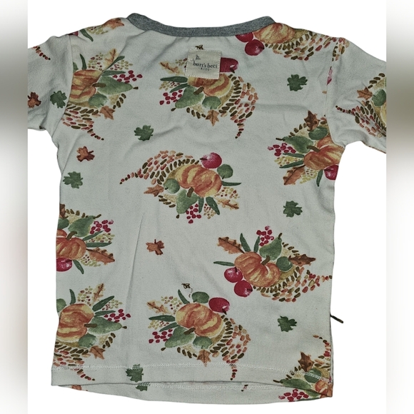 Burt's Bees Kids Boy Girl Thanksgiving Celebration Organic 2pc PJ Set Sz 4T - Picture 5 of 16